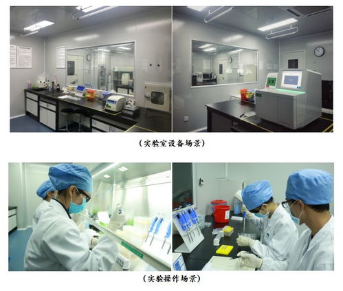 廣州高科技高成長20強企業風采 網絡技術研發與技術服務的領航者