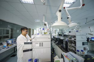 江寧生命科技小鎮 國家級博士后科研工作站領航網絡技術研發與服務新未來
